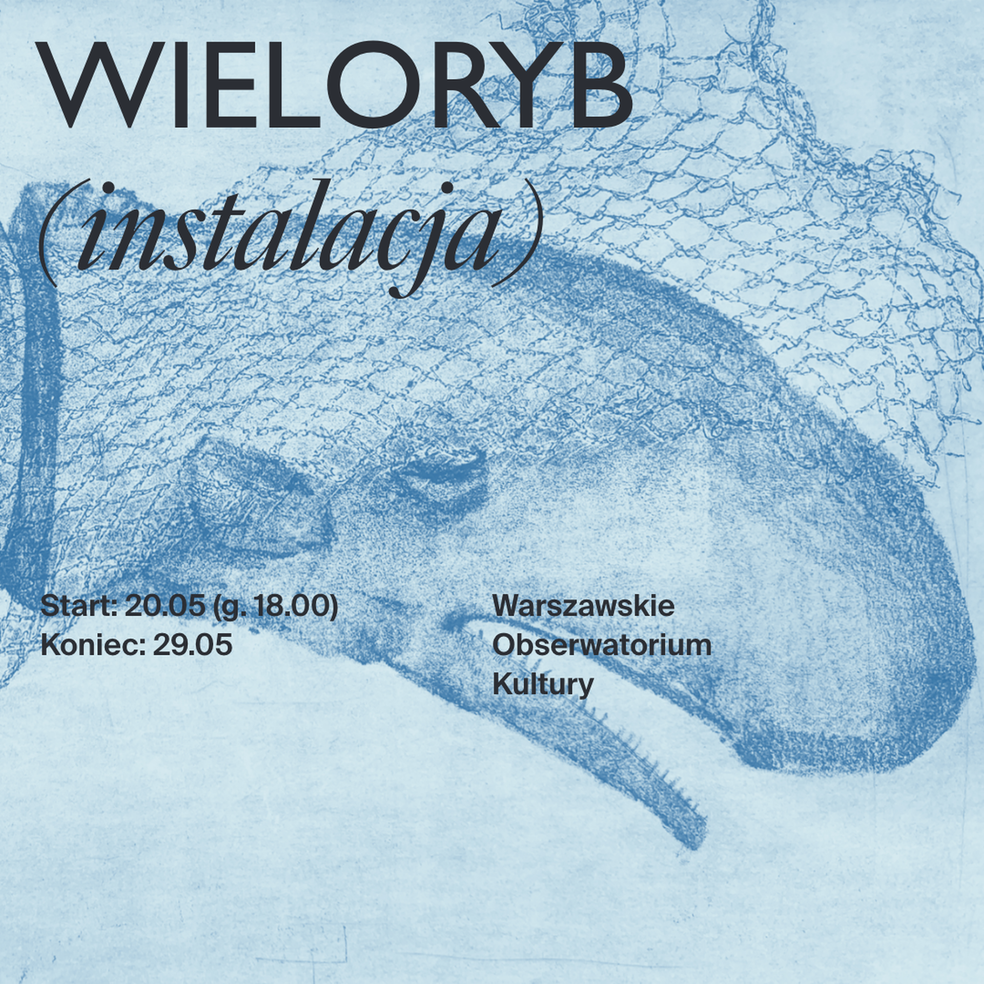 Ilustracja aktualności WIELORYB&nbsp; - instalacja
