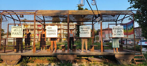 dokumentacja projektu Manifest Roślin