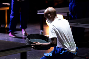 dokumentacja projektu Manifest Roślin